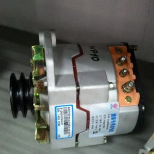 Генератор под клиновой ремень WP10 Shaanxi | 612600090401