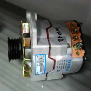 Генератор WP12 Weichai | 612630060248